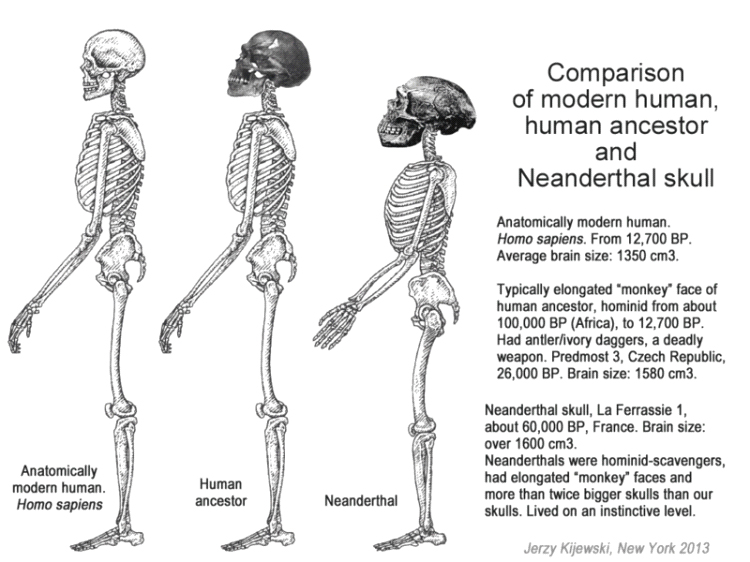 New Truths Belie Evolution Even More - Brother Eli Soriano
