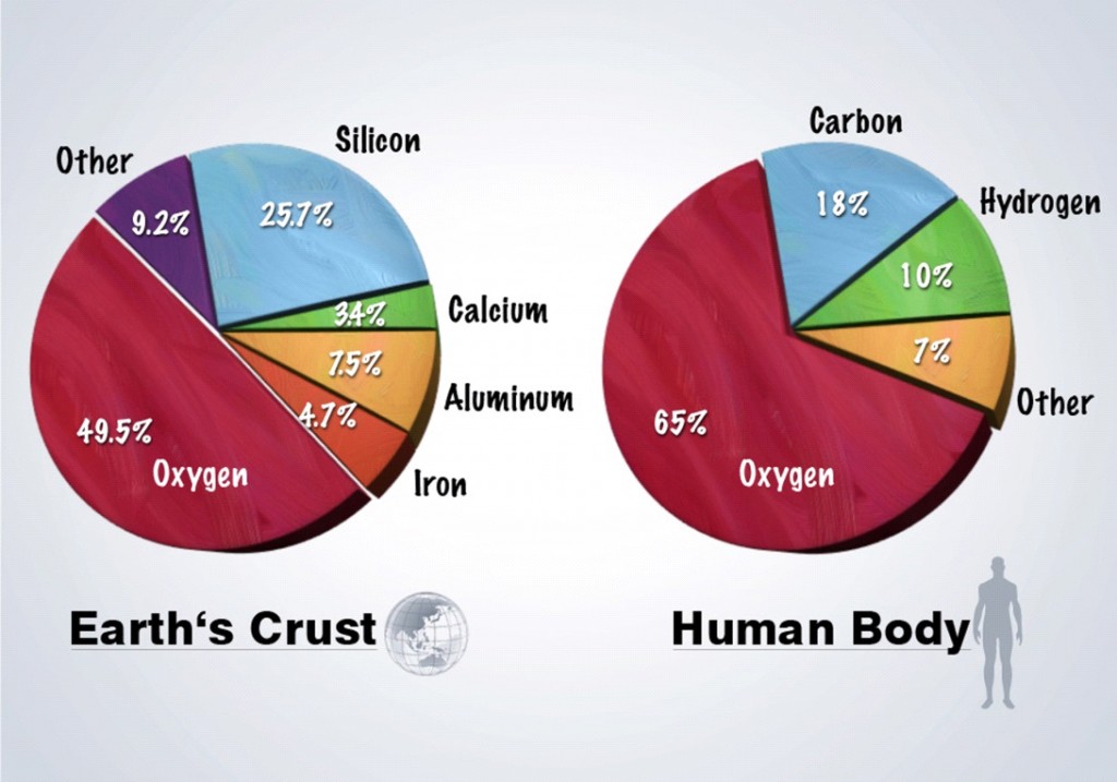 Minerals on Earth’s Crust and in Human Body