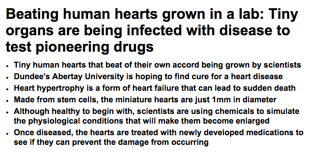 Source: http://www.dailymail.co.uk/sciencetech/article-2669350/Beating-human-hearts-grown-lab-Tiny-organs-infected-disease-test-pioneering-drugs.html